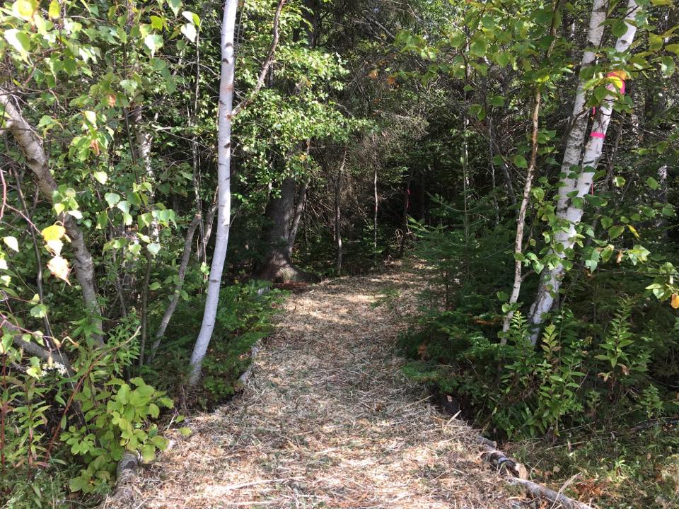 22279626_174431013131069_6195885575128125564_n_174431013131069